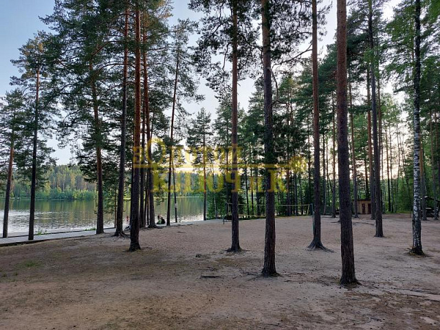 Площадка для пикника на берегу озера "Гавань"