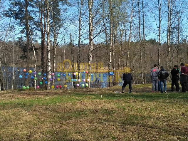 Спортивно-развлекательная программа "Жаркое лето"